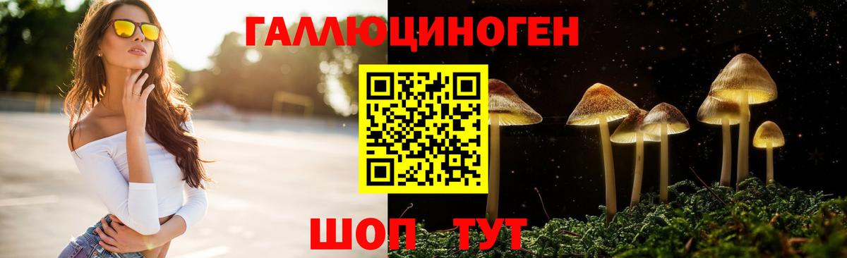 Киров  Галлюциногенные грибы MAGIC MUSHROOMS  Псилоцибиновые грибы мицелий  Вход с VPN 
